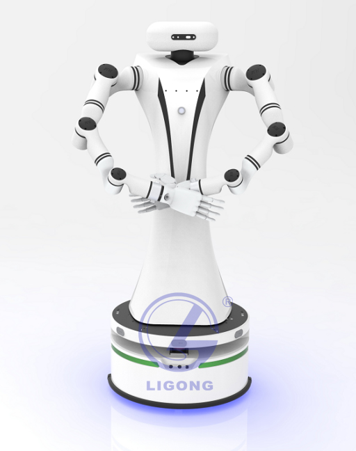 雙臂仿真機器人實(shí)訓科研平臺